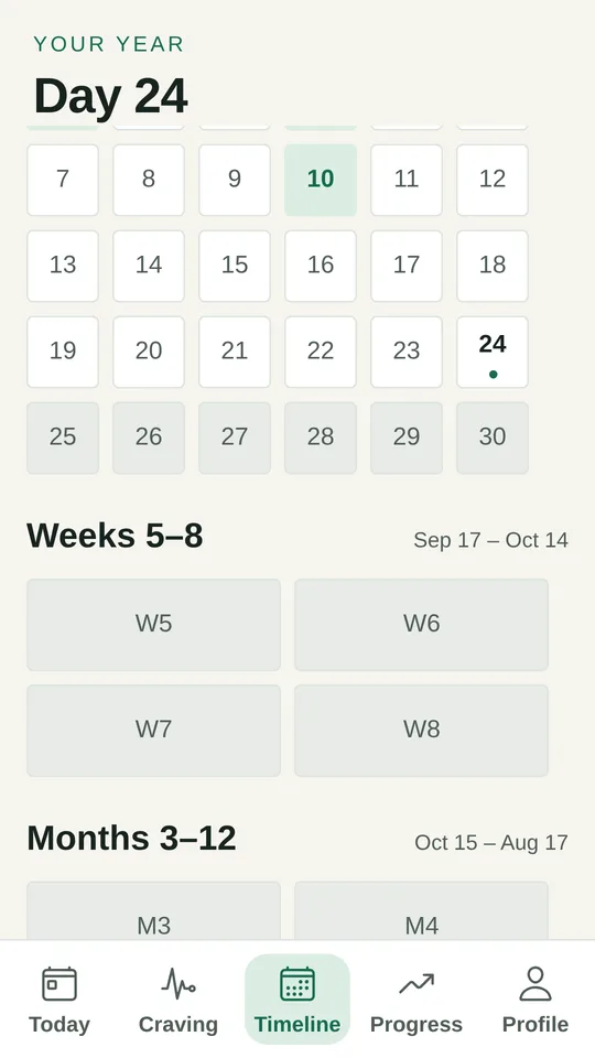 Your Year calendar showing day 24 with weeks and months grouped below
